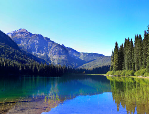 Building Hope for Accessible Homes